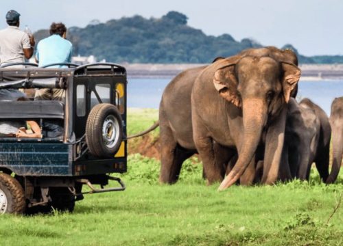 Yala National Park