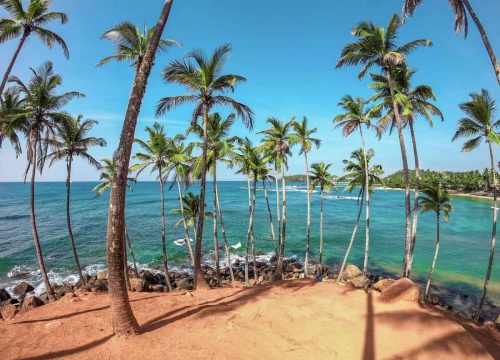 Mirissa Beach