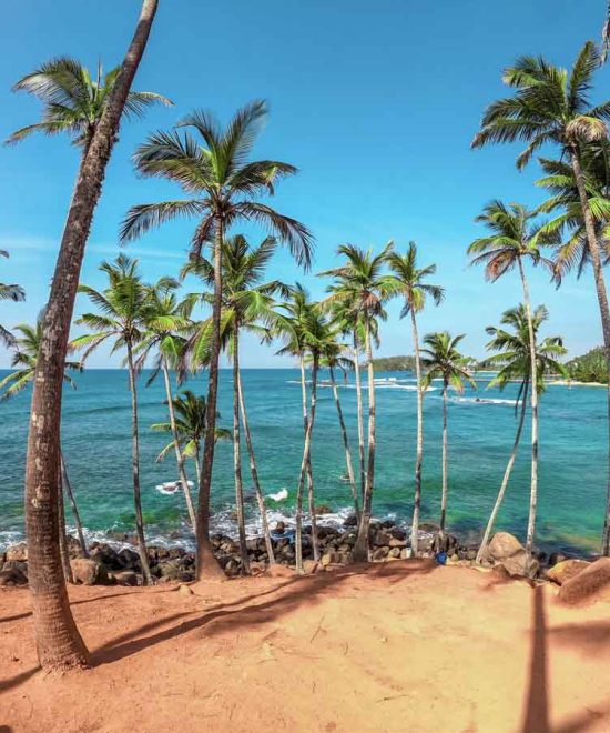 Mirissa Beach